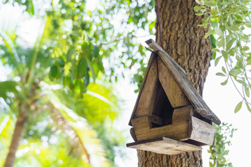wooden little bird house hanging on tree in garden.