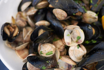 Mussels and clams with lemon, garlic and parsley