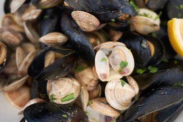 Mussels and clams with lemon, garlic and parsley