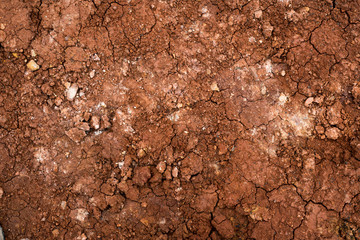 Texture of dried cracked clay. Macro background image of dried clay