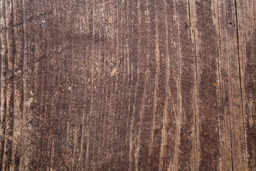 Texture of old wood. Background image. Macro photo