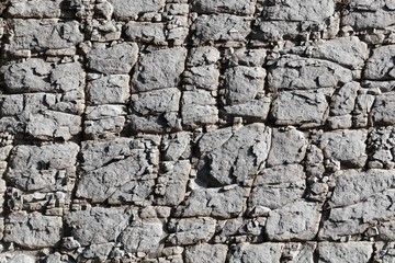 The surface of a nodular limestone