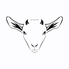 vector illustration of lamb head