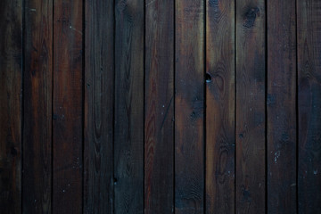Wood texture. Macro background image of a wet dark wood