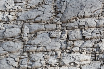 The surface of a nodular limestone
