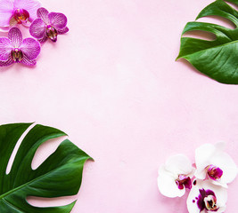 Tropical leaves monstera and orchid flowers