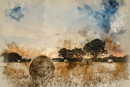 Digital watercolor painting of Rural landscape image of Summer sunset over field of hay bales