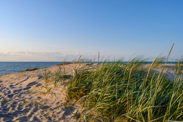 Fototapeta na wymiar Sonnenuntergang in den Dünen der Ostsee
