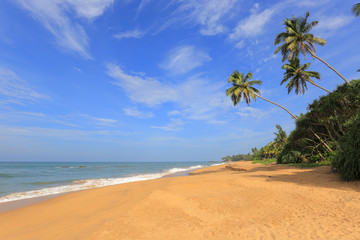 Fototapeta premium Wild tropical beach and ocean in Sri Lanka