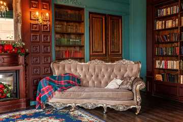 Luxury classic interior of home library. Sitting room with bookshelf, books, arm chair, sofa and...