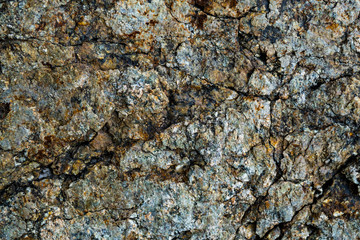 The texture of the stone overgrown with moss. Background image of a boulder