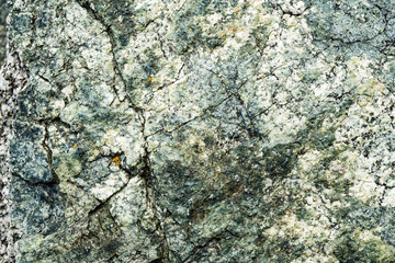 The texture of the stone overgrown with moss. Background image of a boulder