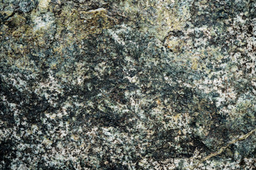 The texture of the stone overgrown with moss. Background image of a boulder