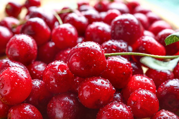 Many ripe sweet cherry, closeup