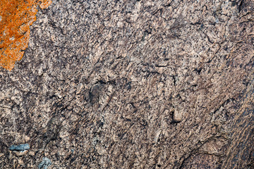 The texture of the stone overgrown with moss. Background image of a boulder