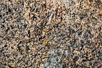 The texture of the stone overgrown with moss. Background image of a boulder