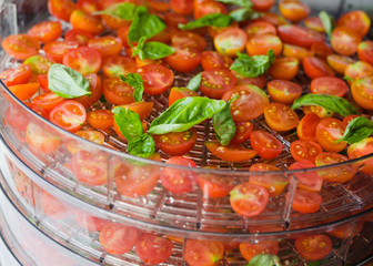 Sour cherry tomatoes with basilic. Sour cherry tomatoes with basilic. Small tomatoes are dried