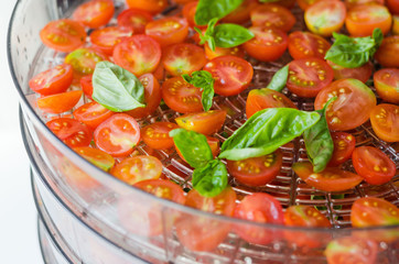 Sour cherry tomatoes with basilic. Sour cherry tomatoes with basilic. Small tomatoes are dried