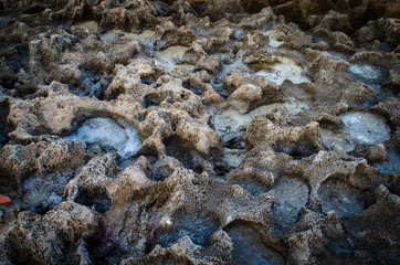 Dettaglio di una scogliera con delle pozze di acqua