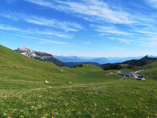 Fototapeta na wymiar paysage de montagne - alpage du charmant som en chartreuse