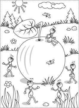 Summer or autumn joy themed coloring page with ripe apple lying on the ground and five busy ants planning what to do with it.