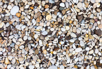 Pebble coastal, background