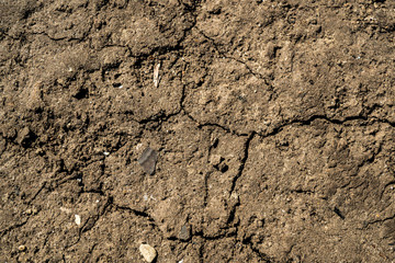 The texture of the earth