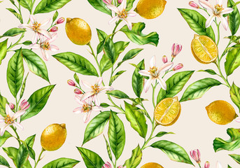 Lemon branch seamless watercolor pattern. Fruit tree with flowers realistic botanical illustration on light beige background hand drawn for textile wallpaper