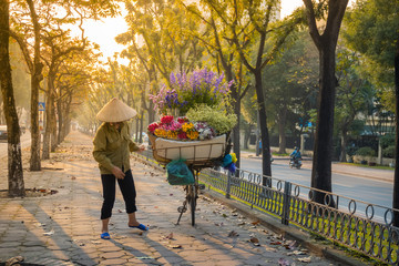 Flower basket on bike of street vendor on Hanoi street. Yellow leaf trees. Autumn or winter season