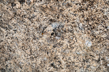 The texture of the stone overgrown with moss. Background image of a boulder