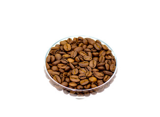 coffee beans on a white background place for text background