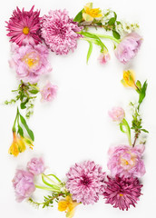 Beautiful pink flowers on white background.