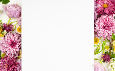 Beautiful pink flowers on white background.