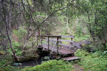 Wooden bridge