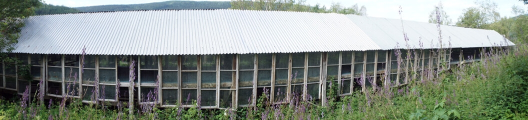 Fototapeta na wymiar Panorama of greenhouse