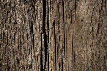Obraz premium Texture of old wood