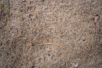 Sand texture