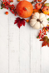 Festive autumn decor from pumpkins, berries and leaves on a white  wooden background. Concept of Thanksgiving day or Halloween. Flat lay autumn composition with copy space.