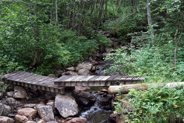 Fototapeta premium Wooden bridge