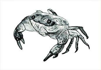 Crab character