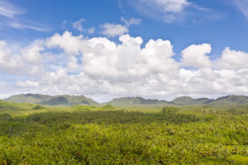 Fototapeta premium Hills with rainforest, aerial view. Tropical landscape with the jungle. Tropical climate, nature of the Philippines. Hilly terrain and sky with big clouds.