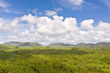 Hills with rainforest, aerial view. Tropical landscape with the jungle. Tropical climate, nature of the Philippines. Hilly terrain and sky with big clouds.
