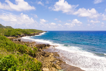 The rocky coast of a tropical island. Siargao, Philippines. Seascape with palm trees in sunny weather, aerial view.