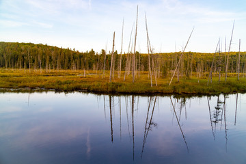 West Rose Lake in Algonquin Provincial Park