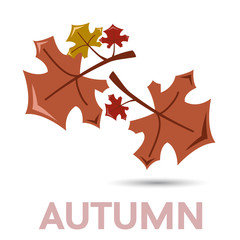  Vector dead leaves, autumn logo. Abstract dry falling leaves