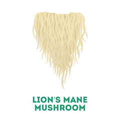 Lion's mane mushroom. Healthy natural fungus. Botany © inspiring.team