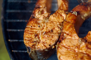 steaks of red fish grill