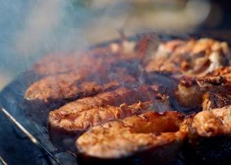 steaks of red fish grill