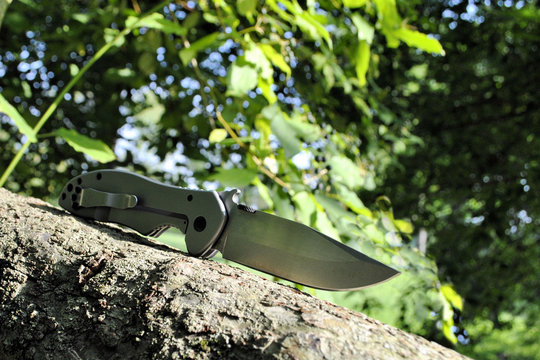 Folding Edc Knife Green Forest Background