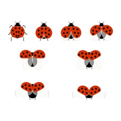 Ladybirds set. Illustration ladybug. Cute colorful sign red insect symbol spring, summer, garden. Template for t shirt, apparel, card, poster, etc. Design element Vector illustration.